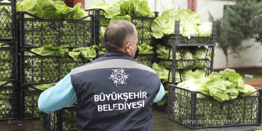 Tarlada kalan ürünleri Aydın Büyükşehir satın alacak