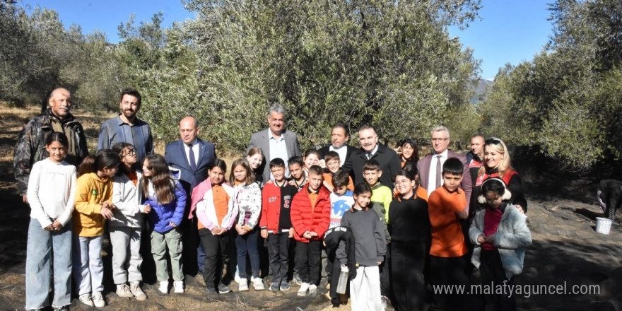 Tarladan sofraya zeytinyağının hikayesi çocuklara anlatıldı