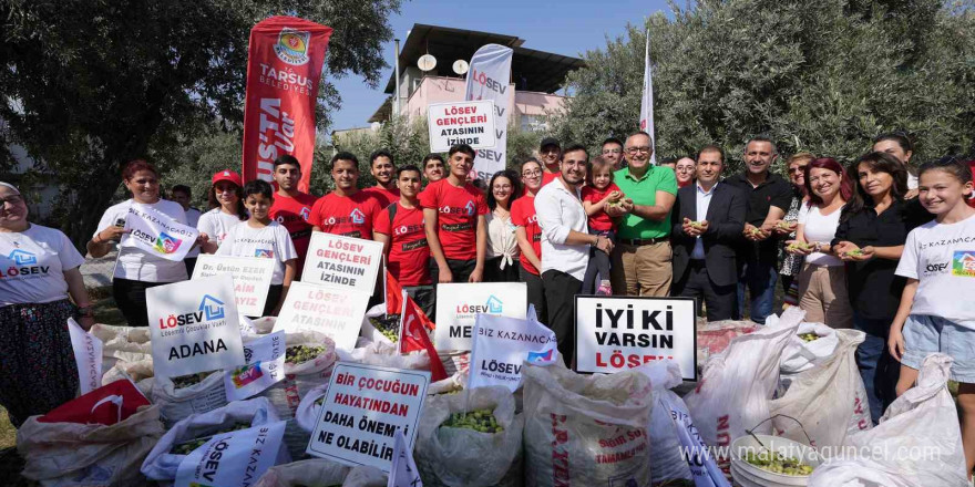 Tarsus’ta lösemili çocuklar için zeytin hasadı yapıldı