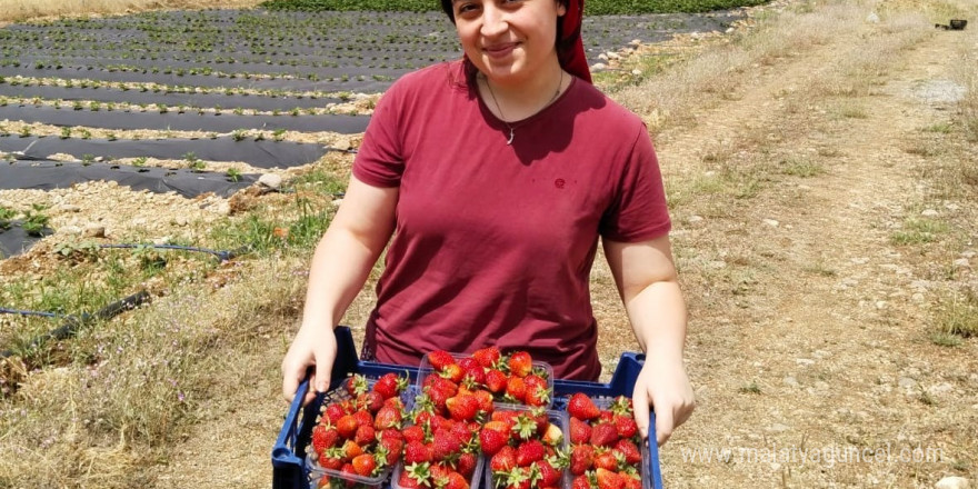 Tatlısu köyü, Çileğin merkezi olacak