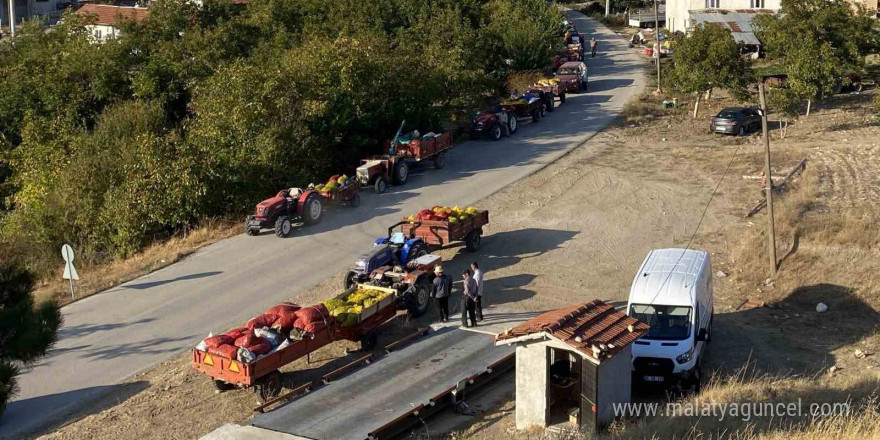 Taze ceviz toptan 25 liraya satılıyor