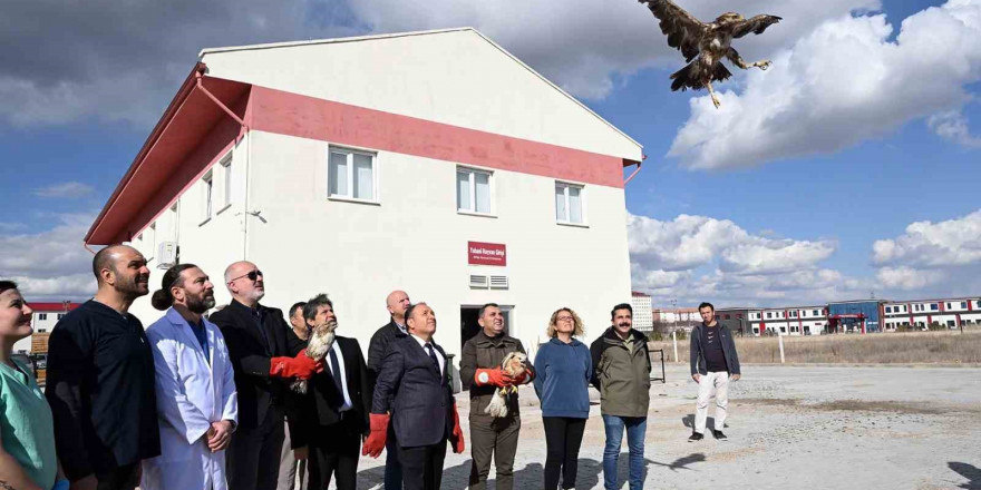 Tedavisi tamamlanan yırtıcı kuşlar doğaya salındı