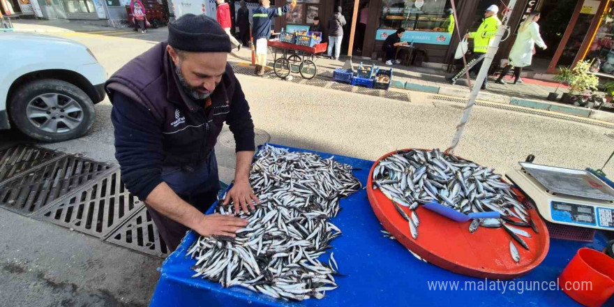 Tekirdağ’da hamsi ve istavrit 100 lira