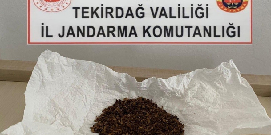 Tekirdağ’da Jandarma operasyonları: Uyuşturucu ve silah ele geçirildi