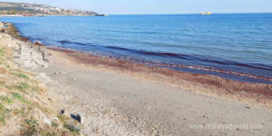 Tekirdağ’da kıyı kızıla boyandı