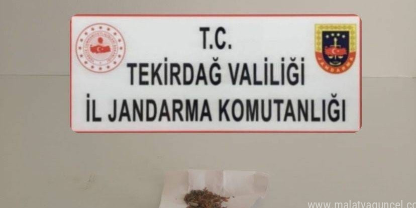 Tekirdağ’da uyuşturucu ve kaçakçılık operasyonları: Sentetik hap ve silah ele geçirildi