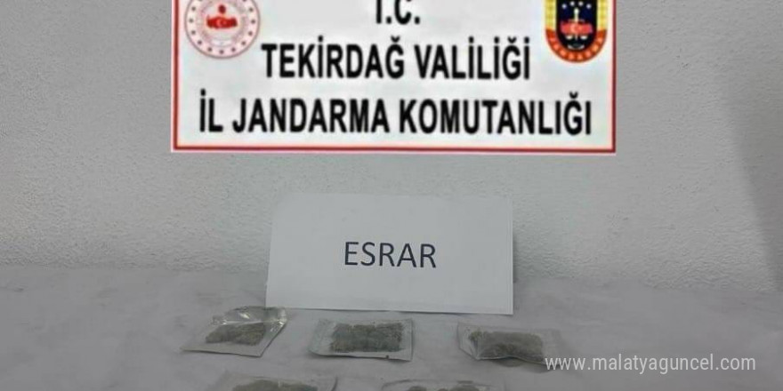 Tekirdağ’da uyuşturucu ve silah operasyonları: Çok sayıda suç unsuru ele geçirildi