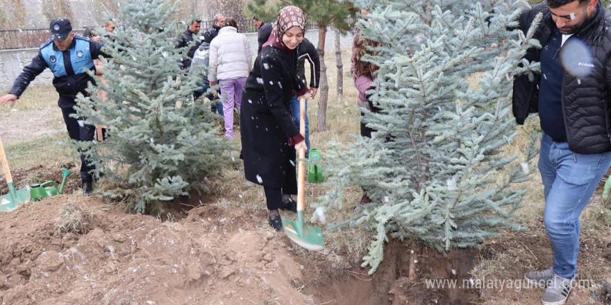 Tercan’da geleceğe nefes için fidan dikildi