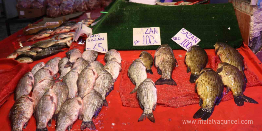 Tezgahlarda çeşit çok ama en çok palamut satılıyor