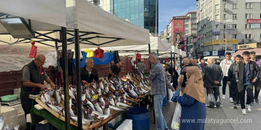 Tezgahların en pahalı balığı mezgit oldu