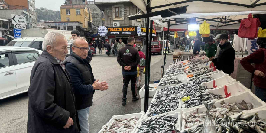 Tezgahların gözdesi hamsi oldu