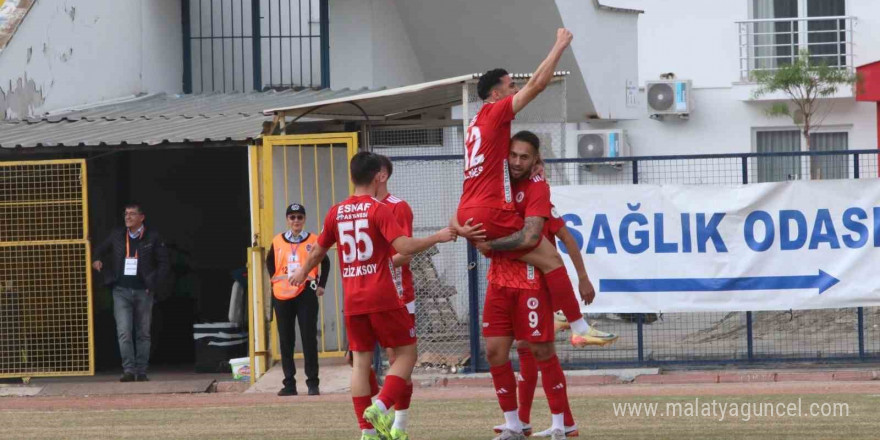 TFF 2. Lig: Fethiyespor: 3 - 24 Erzincanspor: 1