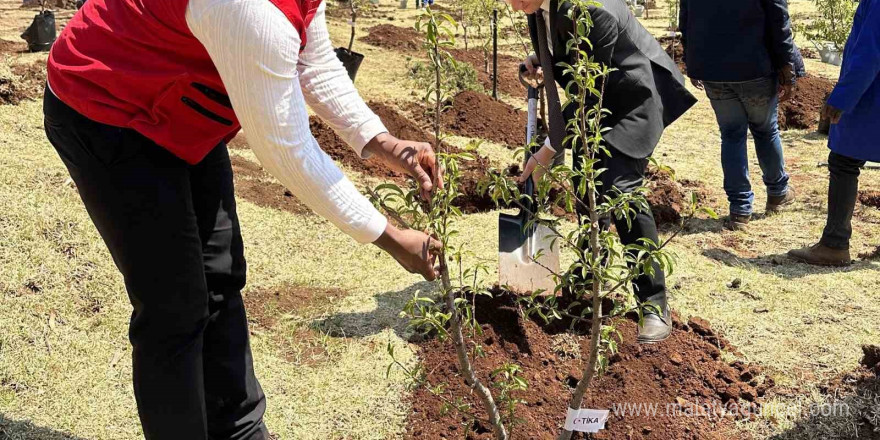 TİKA’dan kuruluşunun 200. yılında Lesotho Krallığı’na 2000 fidan