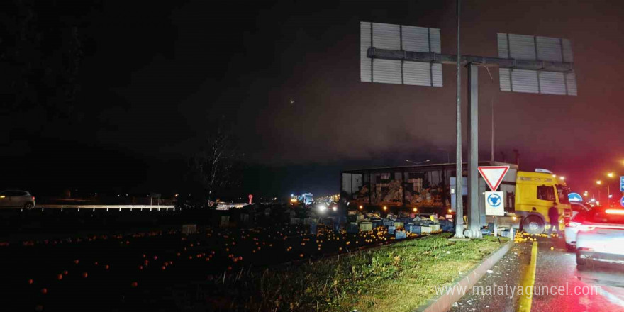 Tırdaki tonlarca narenciye yola savruldu