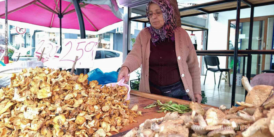 Tirmit çeşitlerine talep arttı