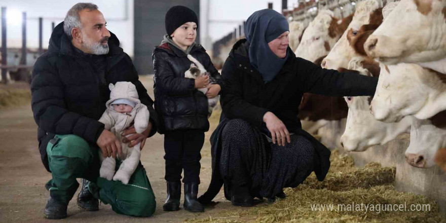 TKDK’dan aldığı destekle ülkesine dönüp çiftlik kurdu, 432 ton süt üretiyor