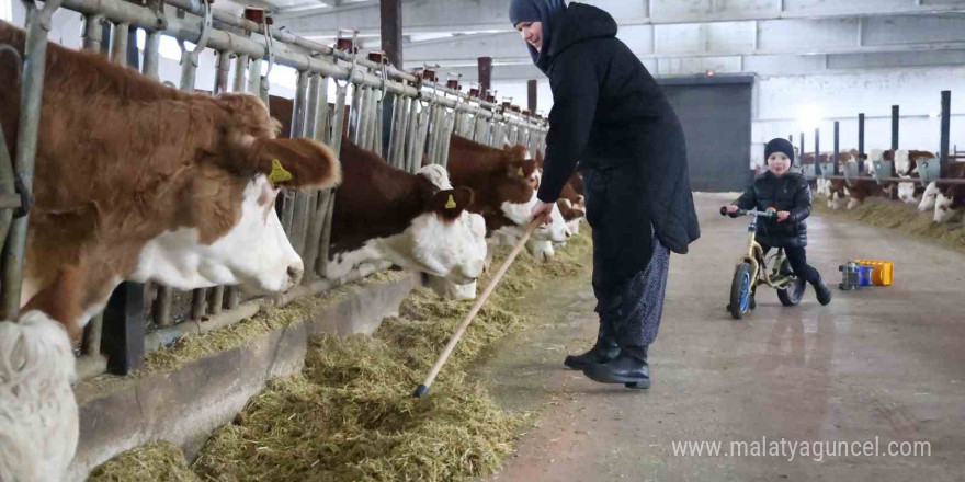 TKDK’dan aldığı destekle ülkesine dönüp çiftlik kurdu, 432 ton süt üretiyor