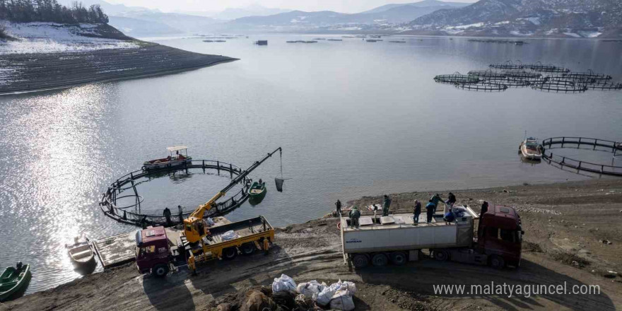 Tokat’ın somonları Karadeniz’de büyüyüp dünya sofralarına ulaşıyor