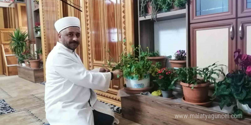 Tokatlı imam cami içini çiçek bahçesine çevirdi