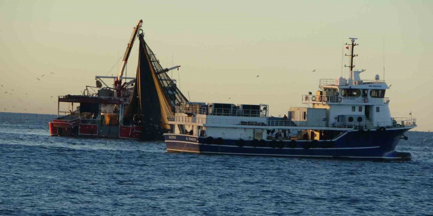 Trabzon’dan 1 Ocak’ta Gürcistan’a hamsi avına gidecekler