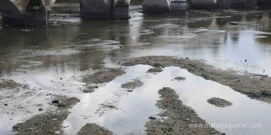 Tunca Nehri ’hurdalığa’ dönüştü