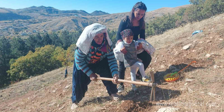 Tunceli’de bin meşe palamudu toprakla buluşturuldu