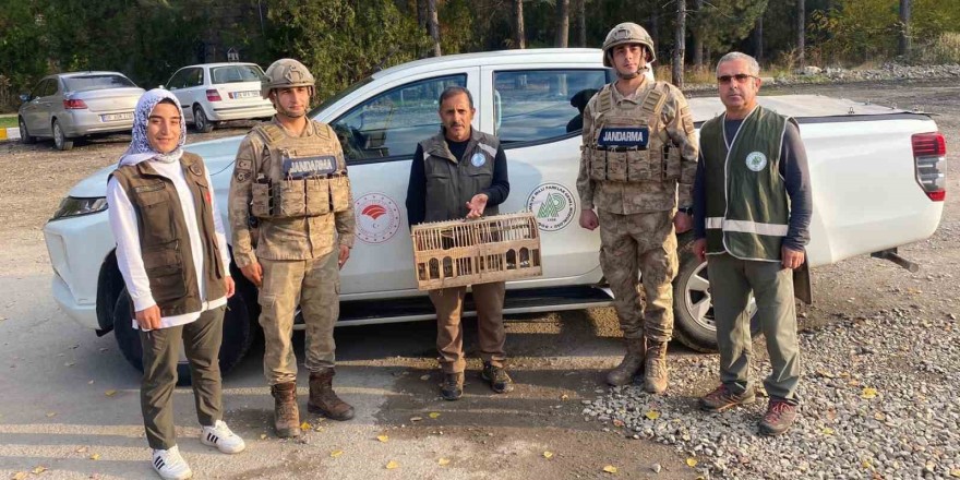 Tunceli’de el konulan kınalı keklikler doğal ortamına bırakıldı