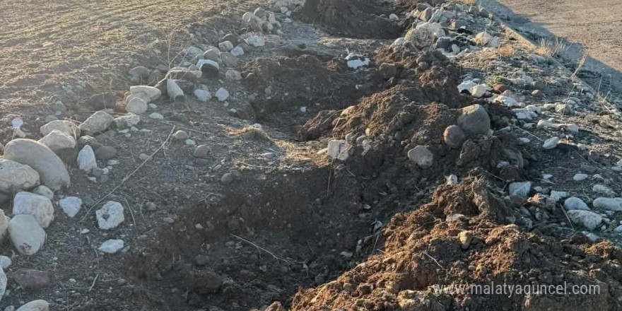 Tunceli’de yol kenarında dikili fidanlar çalındı, belediye başkanı tepki gösterdi