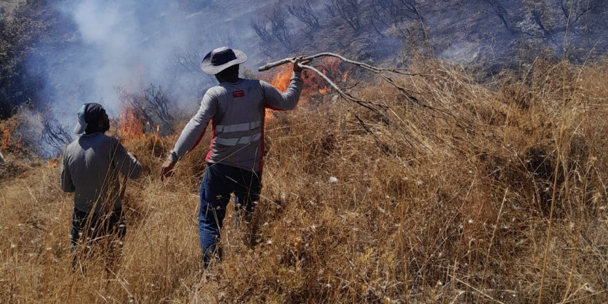 Tunceli’deki yangın ormanlık alana sıçramadan söndürüldü