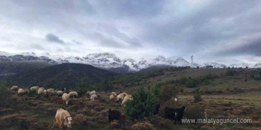 Tunceli’nin yüksek kesimleri beyaza büründü