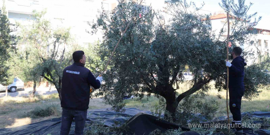 Turgutlu Belediyesi örnek uygulamasına devam ediyor