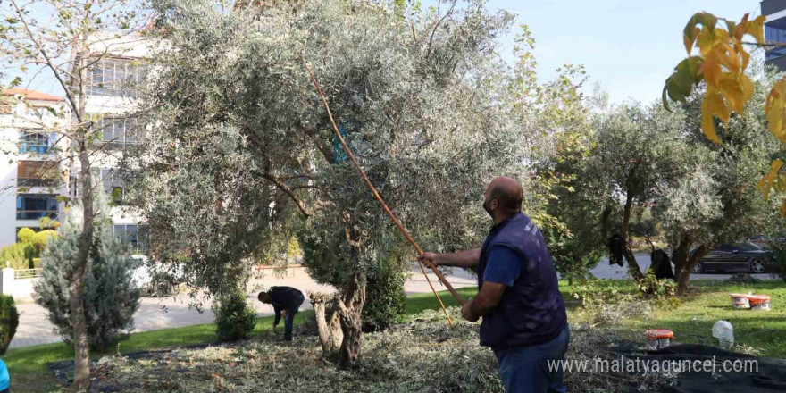 Turgutlu Belediyesi örnek uygulamasına devam ediyor