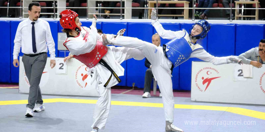 Türkiye Büyükler Taekwondo Şampiyonası sona erdi