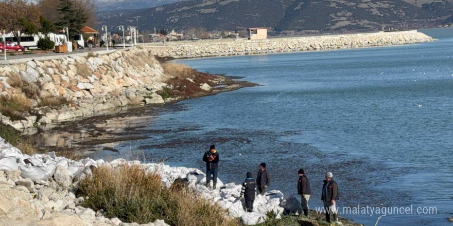 Türkiye’nin 4. büyük gölünde alg patlamasına karşı harekete geçildi