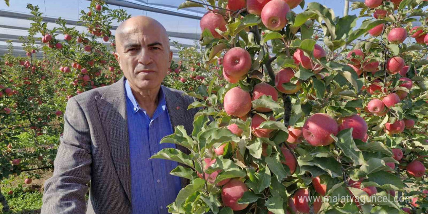 Türkiye’nin elma deposunda son hasat yapılıyor