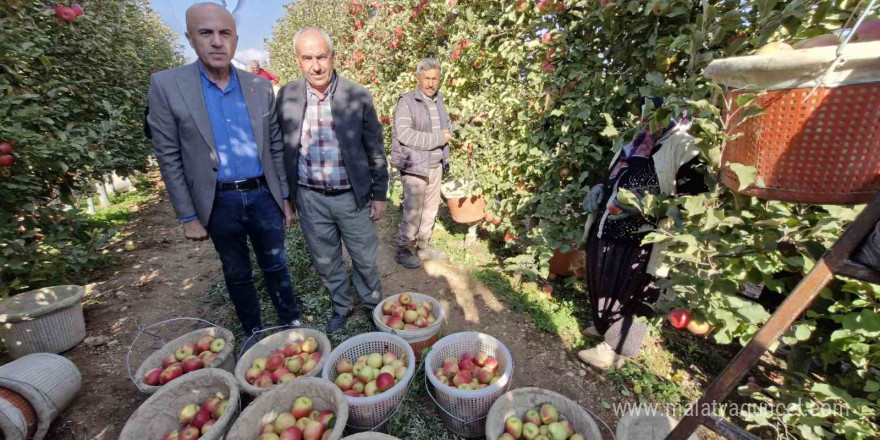 Türkiye’nin elma deposunda son hasat yapılıyor