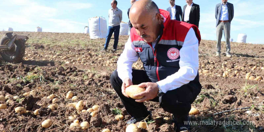 Türkiye’nin en lezzetli patatesleri bu topraklarda yetişiyor