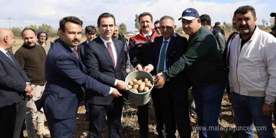 Türkiye’nin patates ambarlarından Ahlat’ta hasat başladı