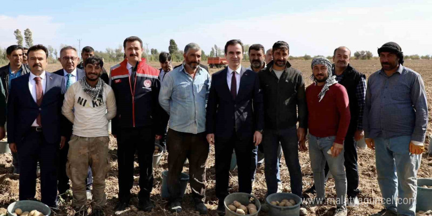 Türkiye’nin patates ambarlarından Ahlat’ta hasat başladı