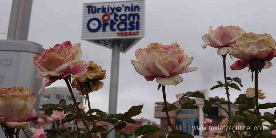 “Türkiye’nin tam ortası Yozgat” totemleri dikkat çekiyor