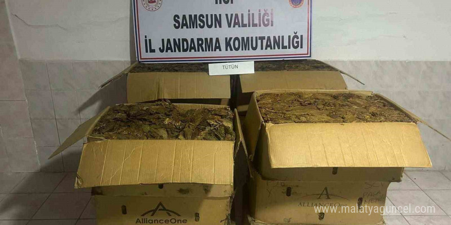 Tütün hırsızı jandarma tarafından yakalandı