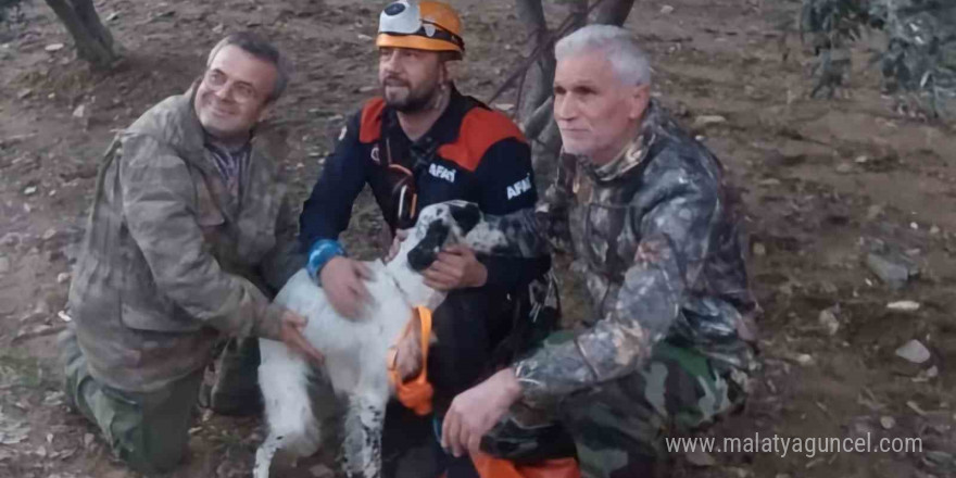 Uçurumda mahsur kalan av köpeğini Aydın AFAD kurtardı