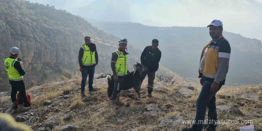 Uçurumda mahsur kalan keçiyi ERKUT ekipleri kurtardı