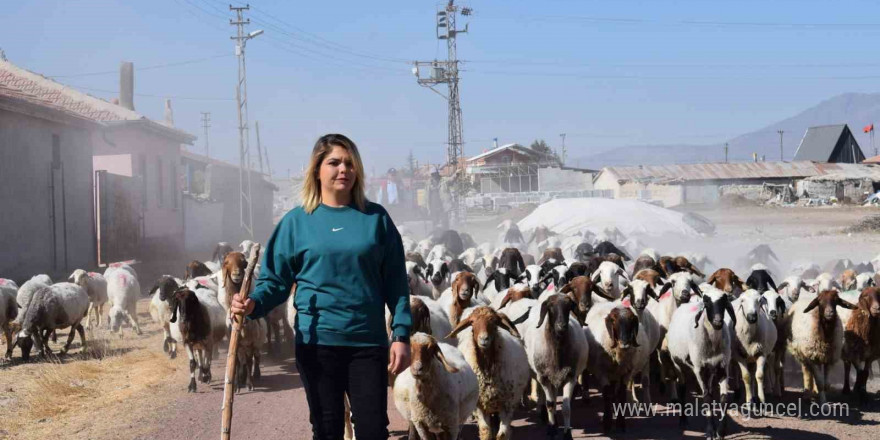 Üniversiteli anne hem koyunlarına hem de kendi kuzusuna bakıyor