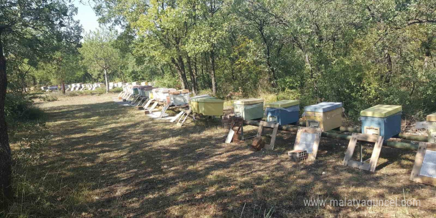 Üniversitenin zarar gören arı kovanları üretici desteğiyle yenilendi