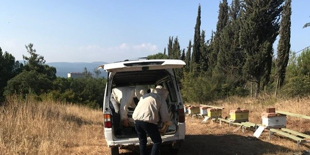 Üniversitenin zarar gören arı kovanları üretici desteğiyle yenilendi