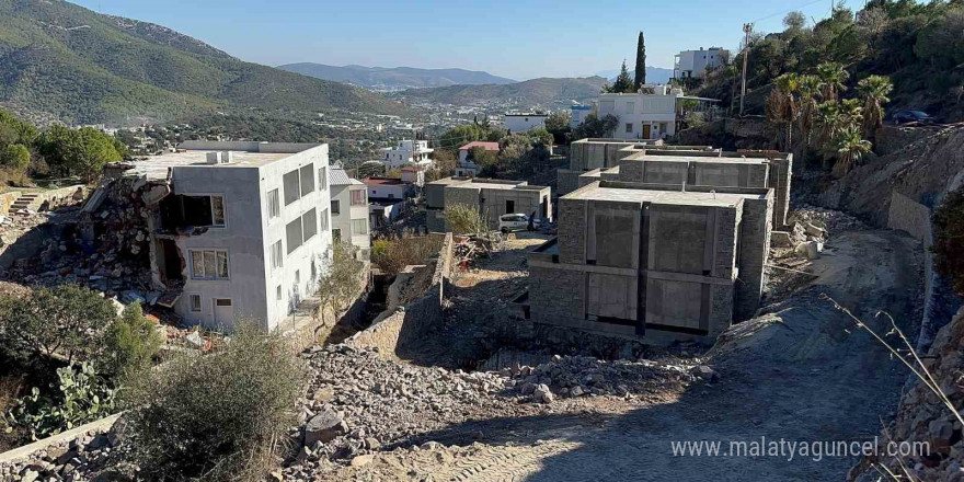 Ünlü sanatçı Suavi’ye Bodrum’da ağaç katliamı cezası