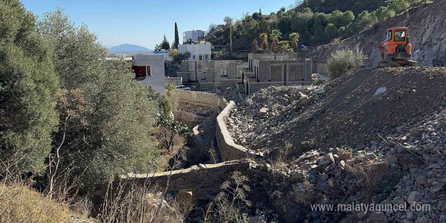 Ünlü sanatçı Suavi’ye Bodrum’da ağaç katliamı cezası