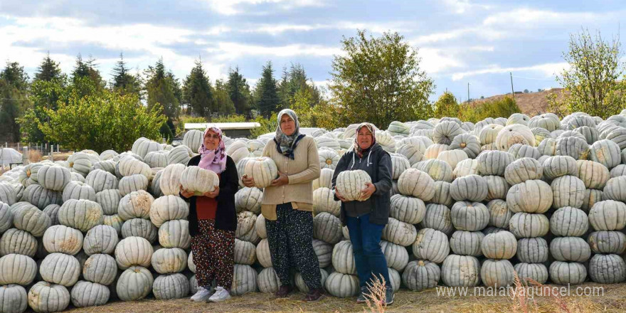 Üretici kadınlar hem mutlu hem gururlu