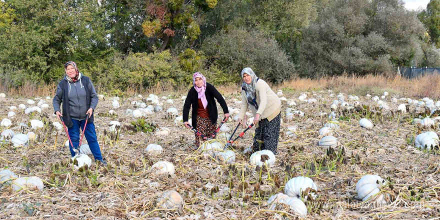 Üretici kadınlar hem mutlu hem gururlu